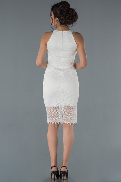 17015 ecru embroidered lace dress