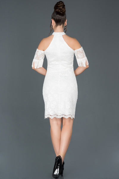  Fawn Shoulder Low-cut Guipure Invitation Dress ABK507 