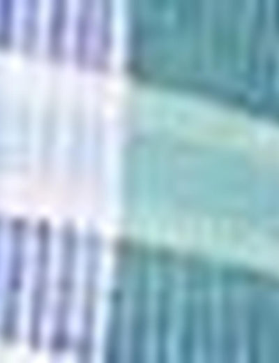 17678 Blue US POLO ASSN Cotton Shirt