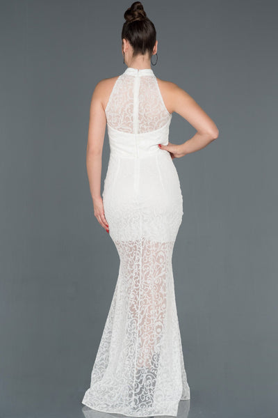  Fawn Guipure Transparent Velvet Fish Dress ABU1101 