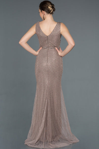 16983 mink stone embroidered dress