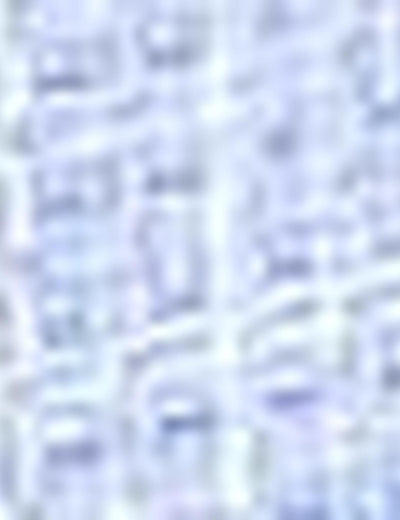 17694 Saks US POLO ASSN Cotton   Shirt